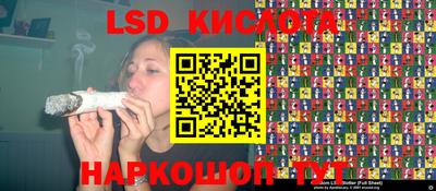 мяу мяу мука Новозыбков