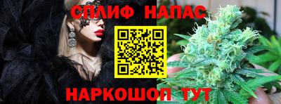 МДПВ Новокубанск