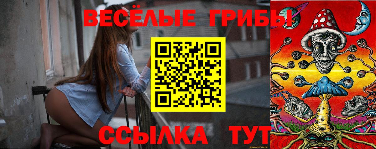 Топки  Псилоцибиновые грибы Cubensis  Вход с VPN 